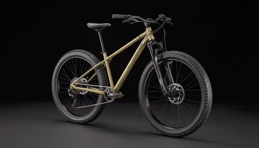 les vélos les plus chers au monde